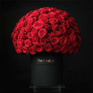 Forever My Valentine