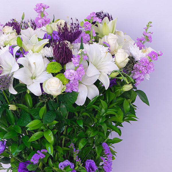 12.jpg Purple Enchantment