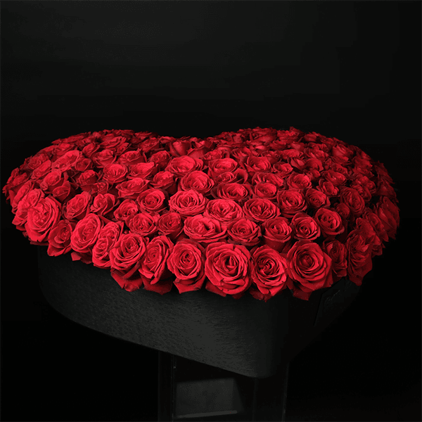 Roses of Love - 150 Roses