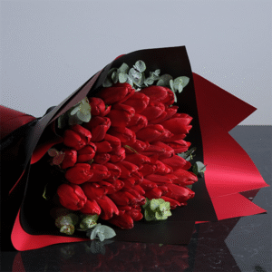 Red Tulip Elegance
