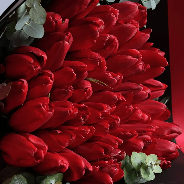 15-1.png Red Tulip Elegance