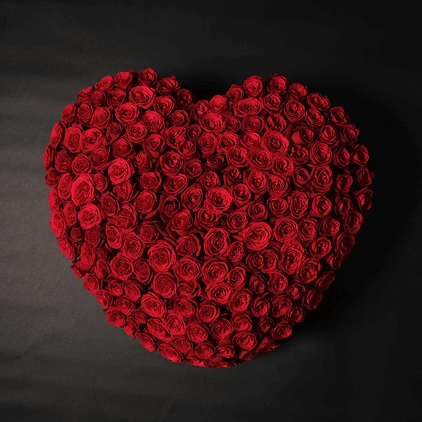 15.png Roses of Love - 150 Roses