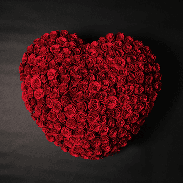 Roses of Love - 150 Roses