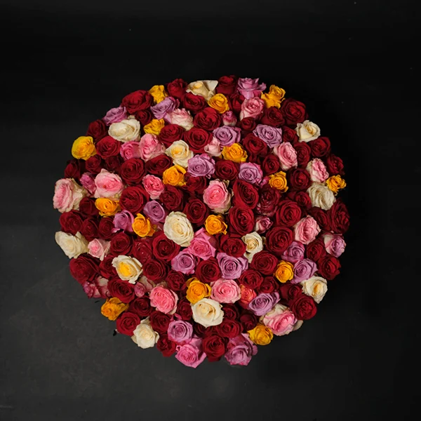 Bella Rosa - 150 Roses