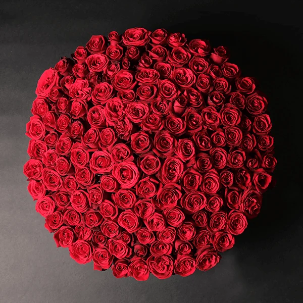 Endless Romance - 150 roses