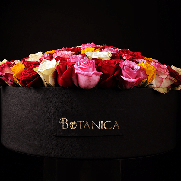 33.png Bella Rosa - 150 Roses