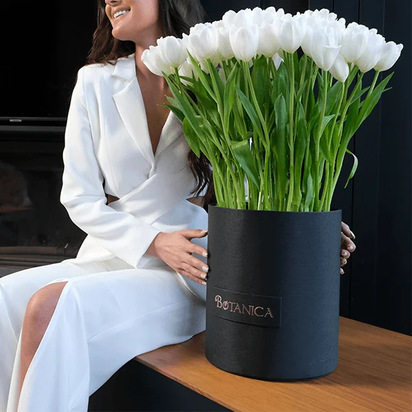 White Tulip Perfection