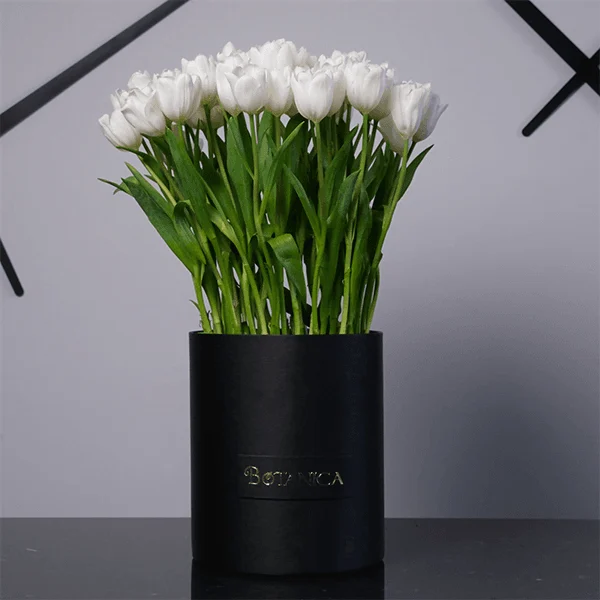 White Tulip Perfection