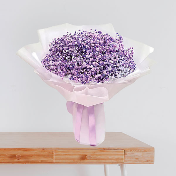 4-1-1.jpg Royal Purple Gypsophila