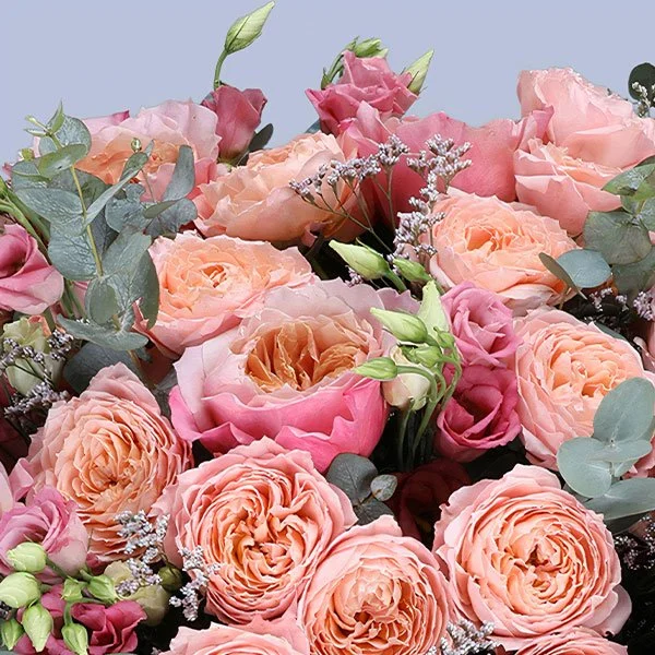 Pastel Petals