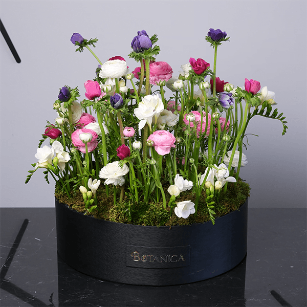 45.png Radiant Beauty Colorful Bouquet