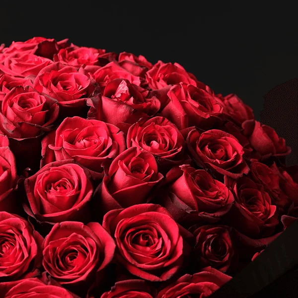 50-roses-2.png Mine