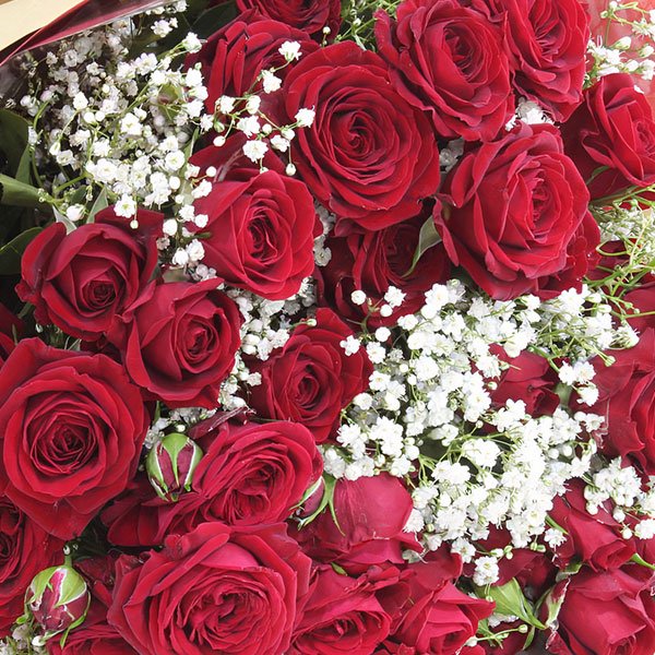 6-2-1.jpg Red Romance