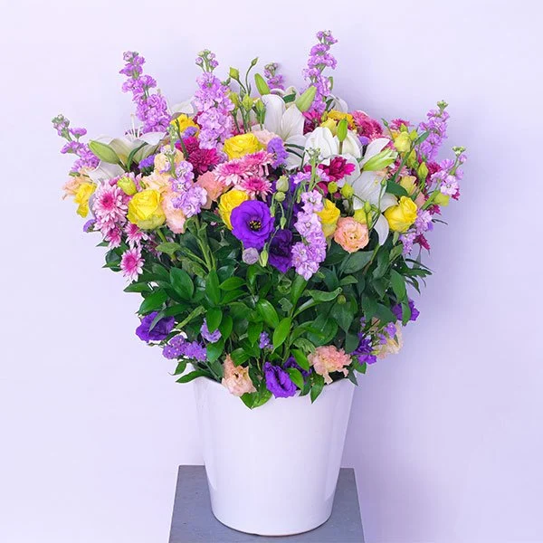 Aurora Arrangement
