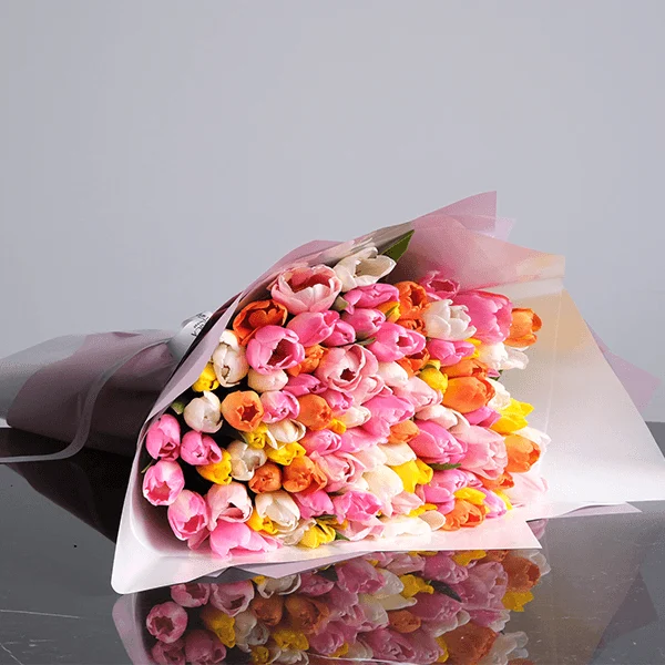 Enchanting Colorful Tulips