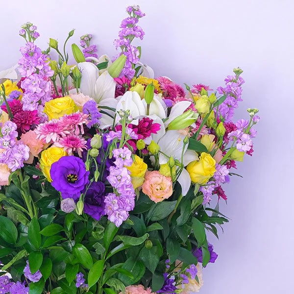 Aurora Arrangement
