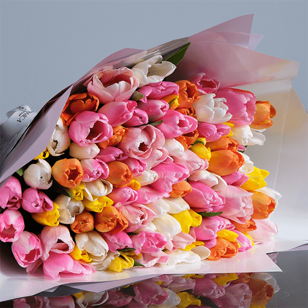Enchanting Colorful Tulips