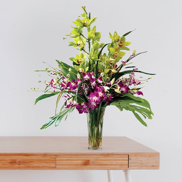 Tropical Fusion Orchid