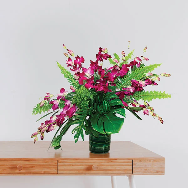 20 Fuchsia Orchid