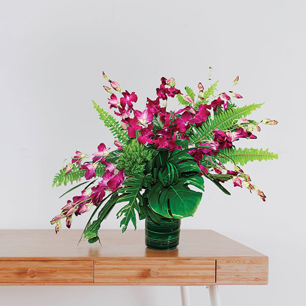Fuchsia Orchid