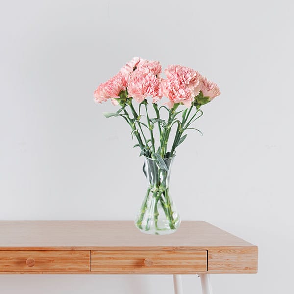 Pink Carnation Bouquet