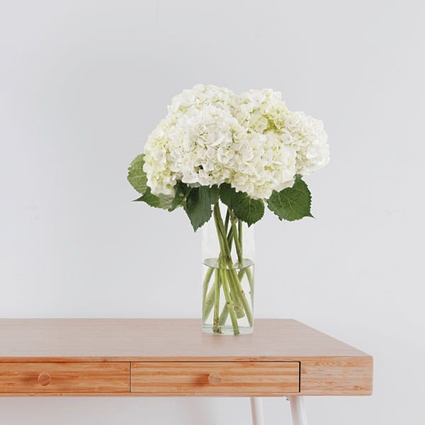 White Hydrangea Bouquet