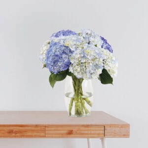 White and Light Blue Hydrangea Mix Bouquet