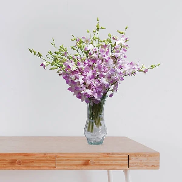 Dendrobium Orchid Bouquet