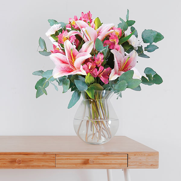 6 Stargazer Lily Symphony